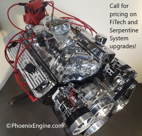 Optional FiTech system